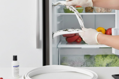 Door Seal & Gasket Replacement